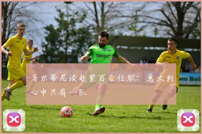 马尔蒂尼谈赴紫百合任职：意大利心中只有一队
