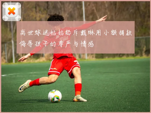 离世球迷姑姑怒斥戴琳用小额捐款侮辱孩子的尊严与情感